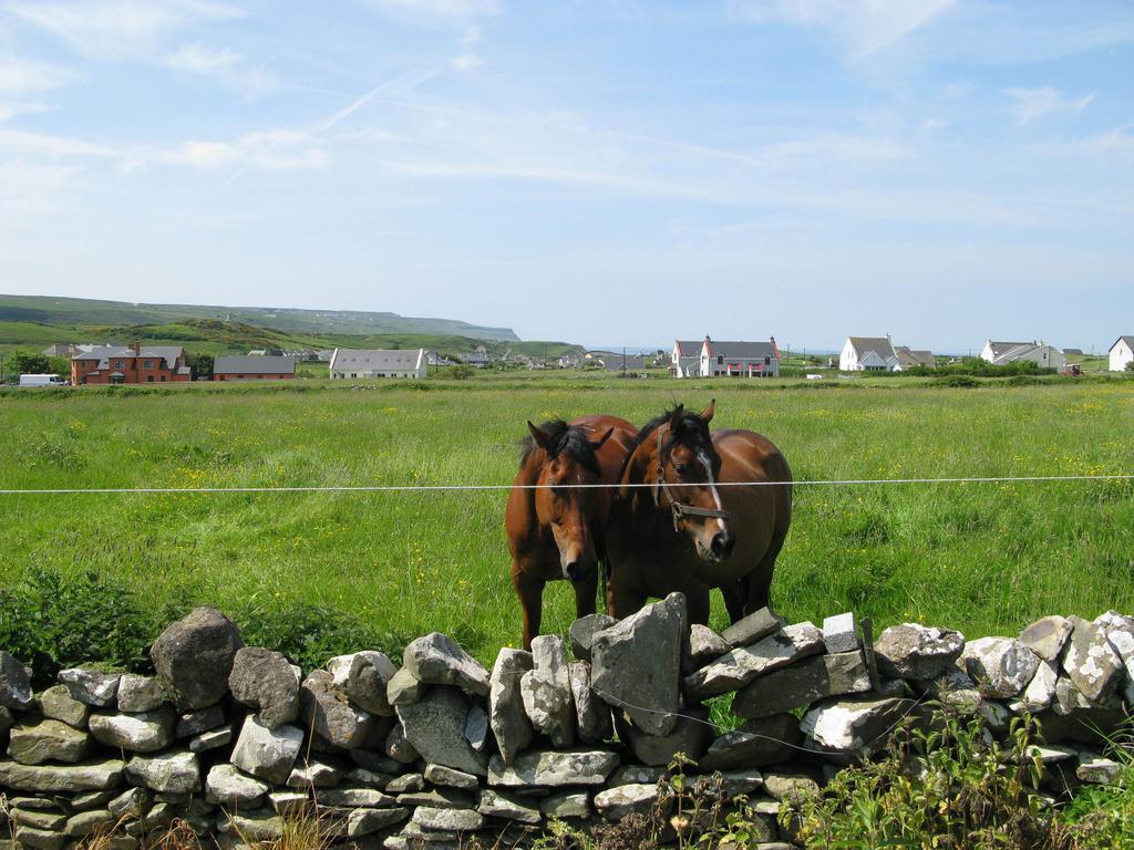 Nellie Dee'S Bed & Breakfast Doolin Luaran gambar